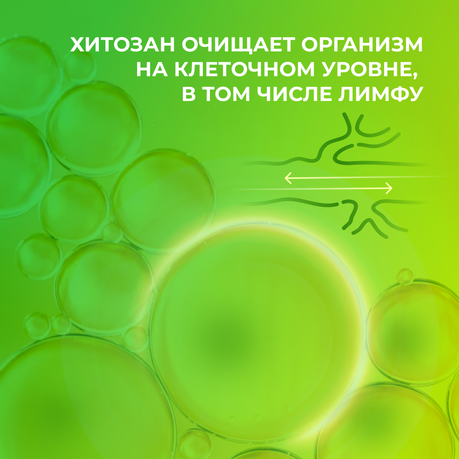 Набор к марафону Снижение веса Lite