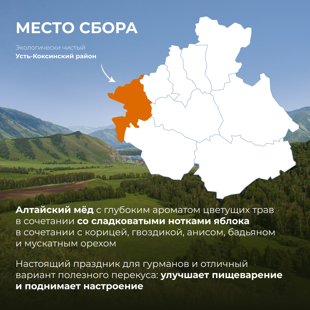Мёд горный натуральный разнотравье пряное яблоко, 200 г