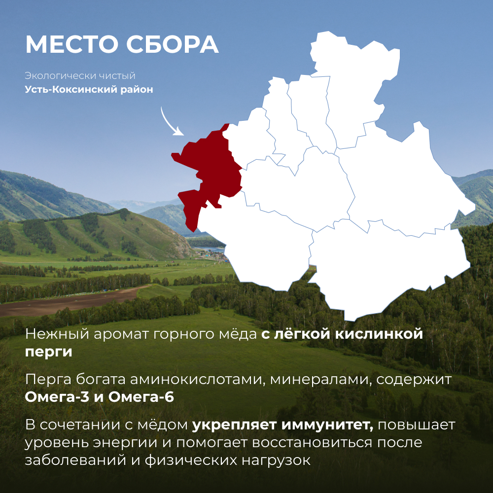 Перга с мёдом, 220 г 